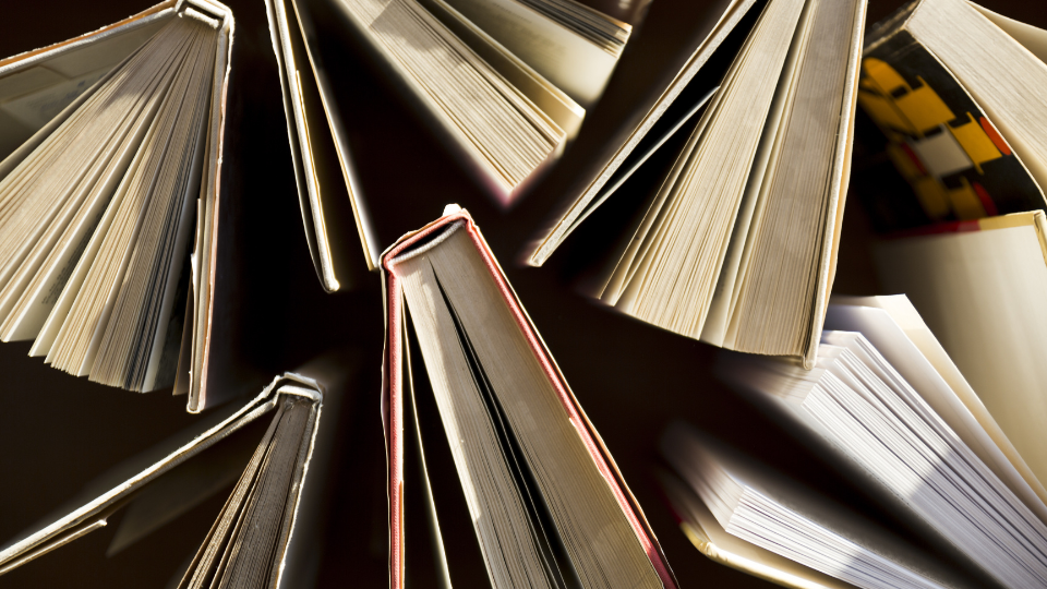 Bibliografia
